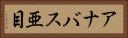 アナバス亜目 Horizontal Portrait