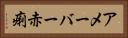 アメーバー赤痢 Horizontal Portrait