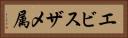 エビスザメ属 Horizontal Portrait