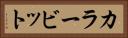 カラービット Horizontal Portrait