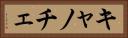 キャノチェ Horizontal Portrait