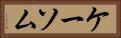 ケーソム Horizontal Portrait