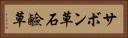 サボン草 Horizontal Portrait