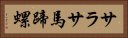 サラサ馬蹄螺 Horizontal Portrait