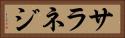 サラネジ Horizontal Portrait