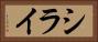 シライ Horizontal Portrait