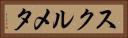 スクルメタ Horizontal Portrait