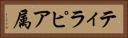 ティラピア属 Horizontal Portrait