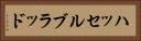 ハッセルブラッド Horizontal Portrait