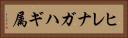 ヒレナガハギ属 Horizontal Portrait