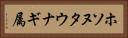 ホソヌタウナギ属 Horizontal Portrait
