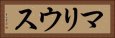 マリウス Horizontal Portrait