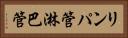 リンパ管 Horizontal Portrait