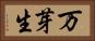 万芽生 Horizontal Portrait