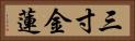 三寸金蓮 Horizontal Portrait