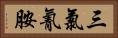 三氯氰胺 Horizontal Portrait