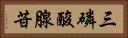 三磷酸腺苷 Horizontal Portrait