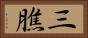 三膲 Horizontal Portrait