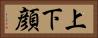 上下顔 Horizontal Portrait