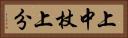 上中杖上分 Horizontal Portrait