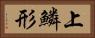 上鱗形 Horizontal Portrait