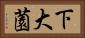 下大薗 Horizontal Portrait