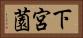 下宮薗 Horizontal Portrait
