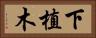 下植木 Horizontal Portrait