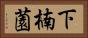 下楠薗 Horizontal Portrait