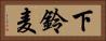 下鈴麦 Horizontal Portrait