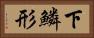 下鱗形 Horizontal Portrait