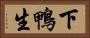 下鴨生 Horizontal Portrait