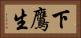 下鷹生 Horizontal Portrait