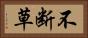 不断草 Horizontal Portrait