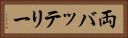 両バッテリー Horizontal Portrait