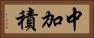 中加積 Horizontal Portrait