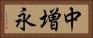 中増永 Horizontal Portrait