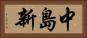 中島新 Horizontal Portrait