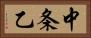 中条乙 Horizontal Portrait