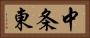 中条東 Horizontal Portrait