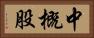中概股 Horizontal Portrait