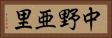 中野亜里 Horizontal Portrait