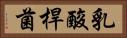 乳酸桿菌 Horizontal Portrait