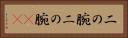 二の腕 Horizontal Portrait