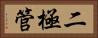 二極管 Horizontal Portrait
