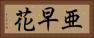 亜早花 Horizontal Portrait