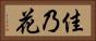 佳乃花 Horizontal Portrait