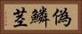 偽鱗茎 Horizontal Portrait