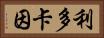 利多卡因 Horizontal Portrait
