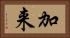 加来 Horizontal Portrait